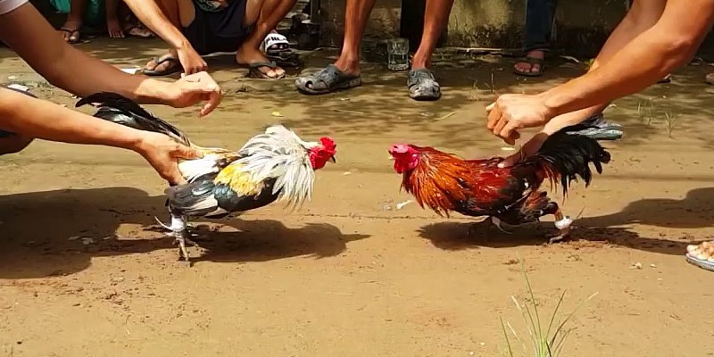 Khám Phá Hình Thức Cá Cược Đầy Hấp Dẫn